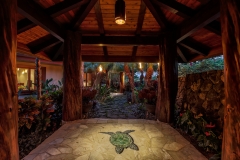 PanaViz Image