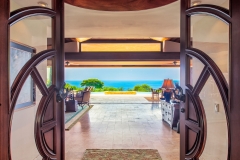 PanaViz Image